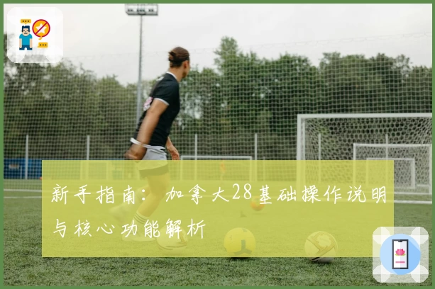 新手指南：加拿大28基础操作说明与核心功能解析