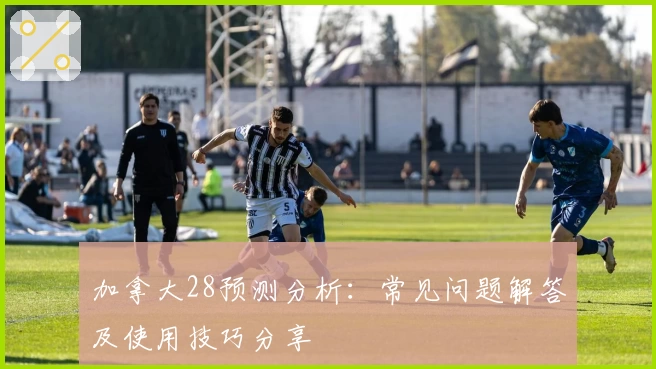 加拿大28预测分析：常见问题解答及使用技巧分享
