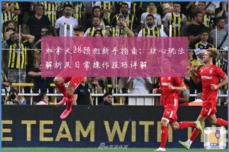 加拿大28预测新手指南：核心玩法解析及日常操作技巧详解