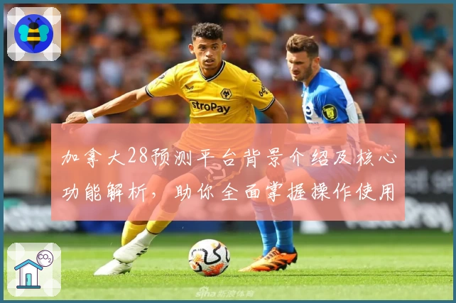 加拿大28预测平台背景介绍及核心功能解析，助你全面掌握操作使用技巧