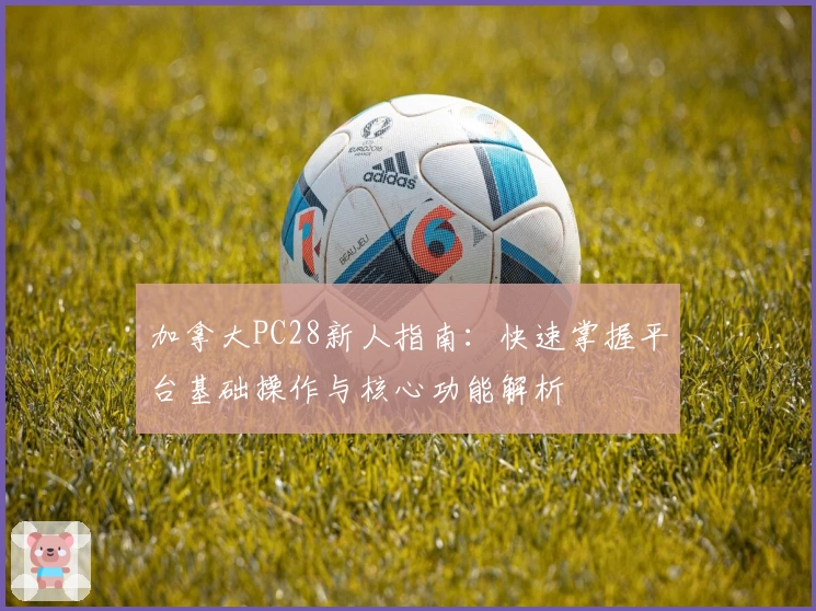 加拿大PC28新人指南：快速掌握平台基础操作与核心功能解析