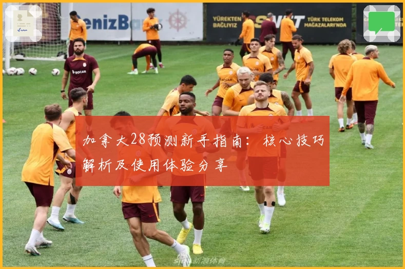加拿大28预测新手指南：核心技巧解析及使用体验分享
