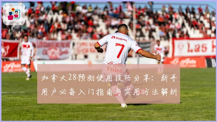加拿大28预测使用技巧分享：新手用户必备入门指南与实用方法解析