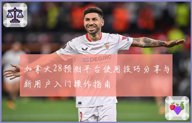 加拿大28预测平台使用技巧分享与新用户入门操作指南