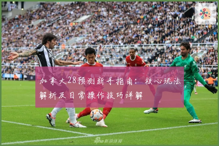 加拿大28预测新手指南：核心玩法解析及日常操作技巧详解