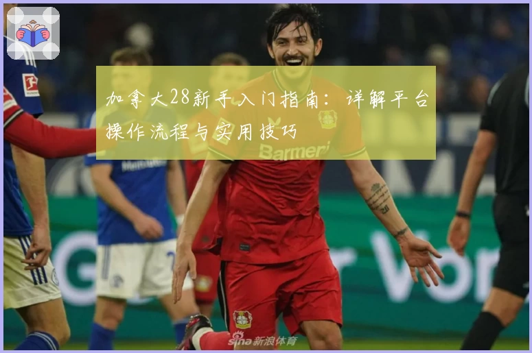 加拿大28新手入门指南：详解平台操作流程与实用技巧