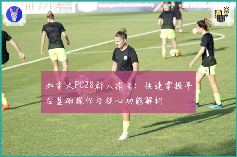 加拿大PC28新人指南：快速掌握平台基础操作与核心功能解析