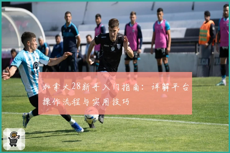 加拿大28新手入门指南：详解平台操作流程与实用技巧