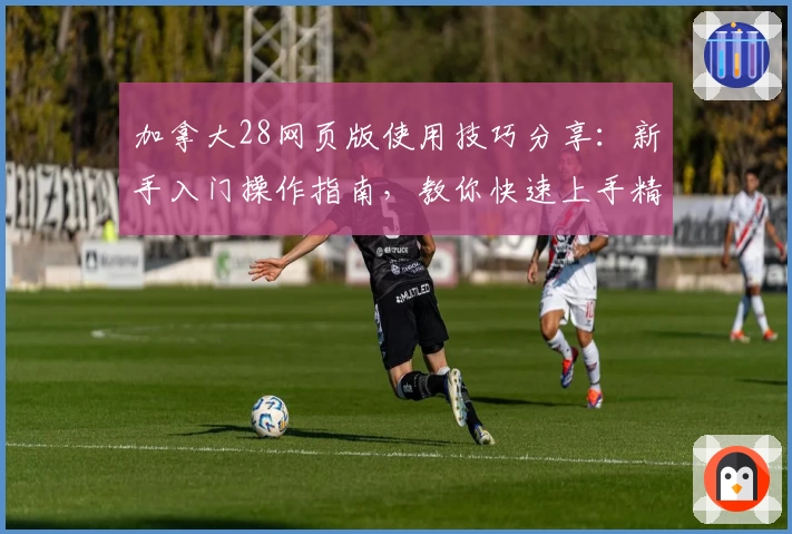 加拿大28网页版使用技巧分享：新手入门操作指南，教你快速上手精准掌握核心功能